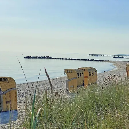 Steuerboard Mit Eingez Terrasse Direkt Am Hundestrand Kalifornien